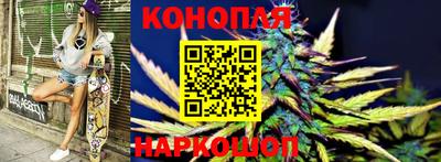 гашик Пыть-Ях