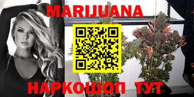 прущие грибы Пушкино