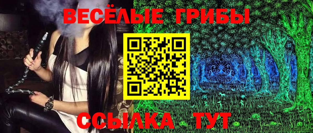Советская Гавань  Псилоцибиновые грибы ЛСД  Вход с VPN 
