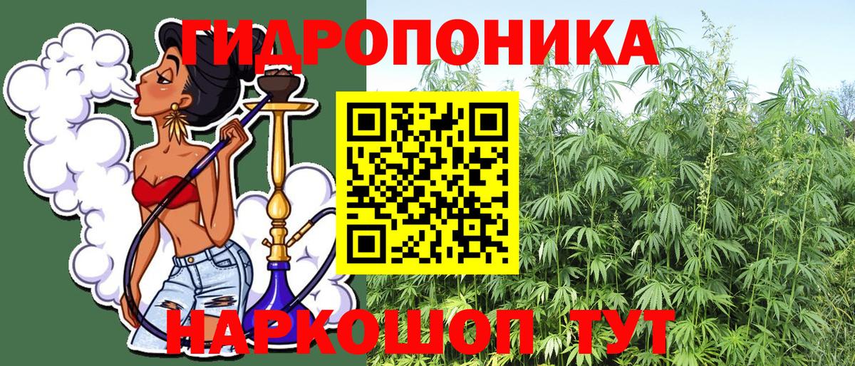 Бошки Шишки AK-47  Вход с VPN  Советская Гавань  Каннабис OG Kush  Канабис сатива 